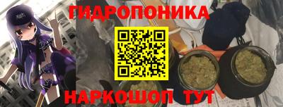 каннабис Будённовск