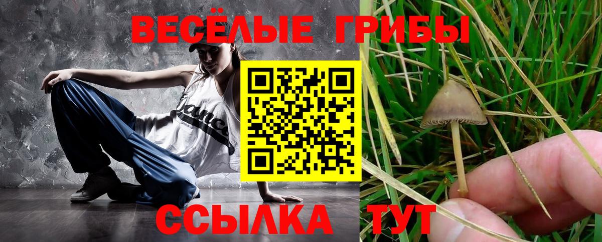 Псилоцибиновые грибы Psilocybine cubensis  Вход с VPN  Аксай 
